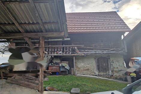 Берёзовая - поместье, ферма.: 11