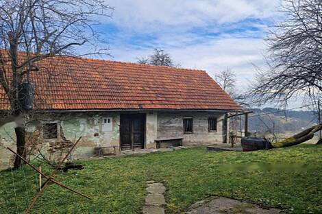 Берёзовая - поместье, ферма.: 15