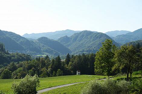 Дом усадьбы Поместья Броштовница Похлин: 22