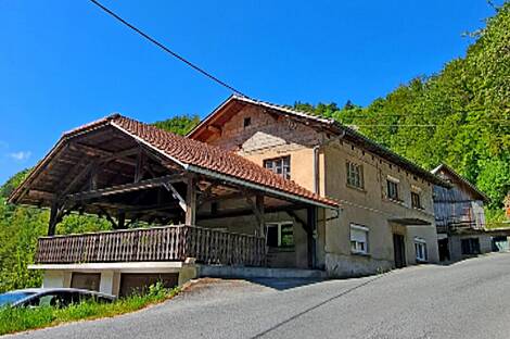 Поместье, усадьба Чолнишче.: 1