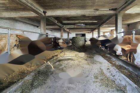 Поместье, агроусадьба Габрник: 8