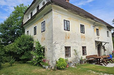 Дом и хозяйство Годович.: 2