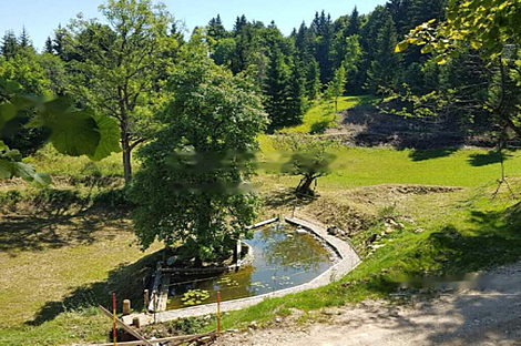 Дом Горе, ферма.: 10