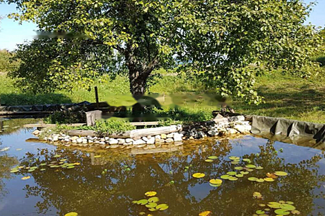 Дом Горе, ферма.: 11