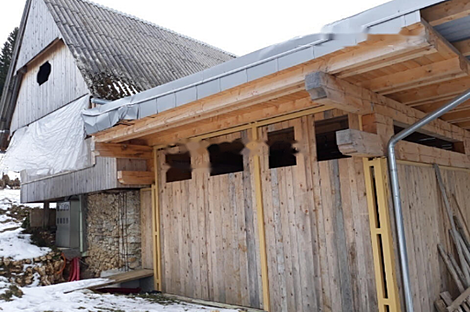 Дом Горе, ферма.: 12