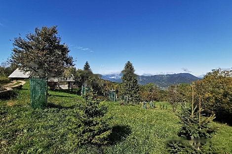 Дом Горе, ферма.: 14