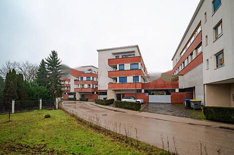 2.5-комнатная квартира в Новом Трново: 11