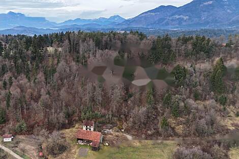 Дом Кметиянов в Любия, Мозирье: 1