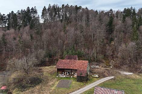 Дом Кметиянов в Любия, Мозирье: 2