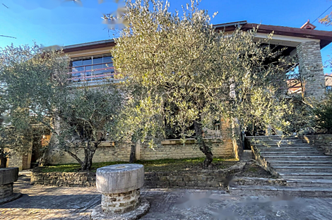 Особняк в Кркавче: 1