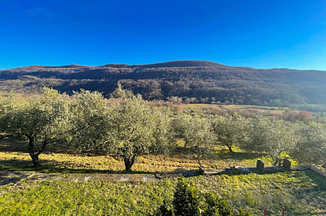 Особняк в Кркавче: 3