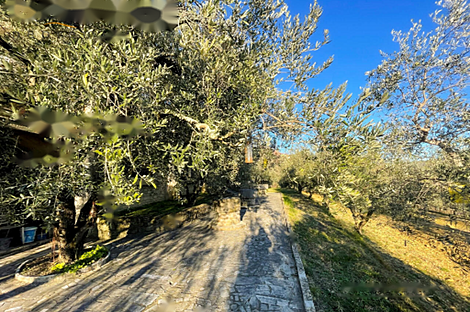 Особняк в Кркавче: 9