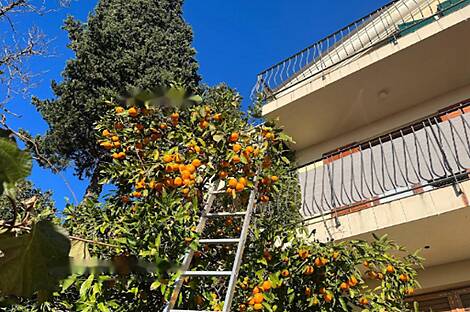 Резидентция, Порторож: 14