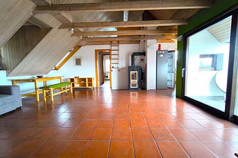 Пяти- и более комнатная квартира в центре: 2