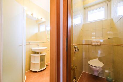 Трехкомнатная квартира, Новая Шишка.: 9