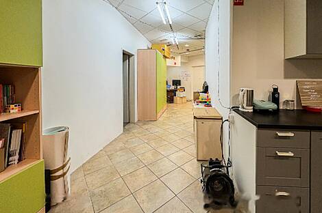 Дом для бизнеса в центре города: 9