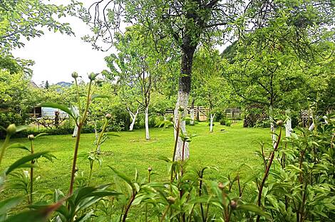 Жилище в Верхнем Горье: 10