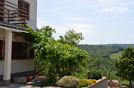 Жилище, Убеги: 9