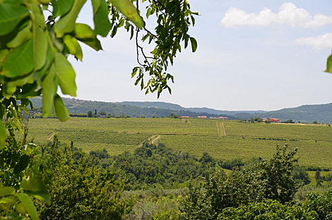 Жилище, Убеги: 18