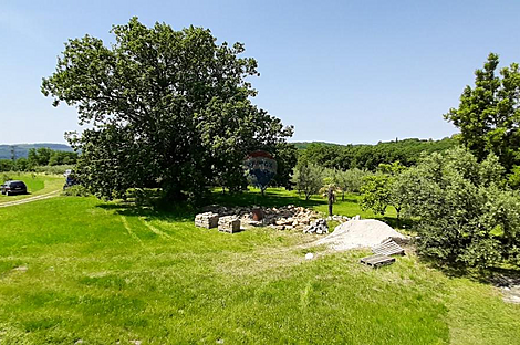 Дом с подсобными сооружениями: 2