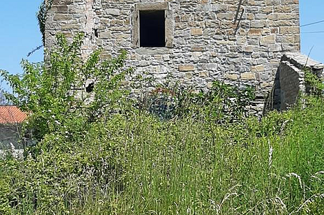 Дом с подсобными сооружениями: 4