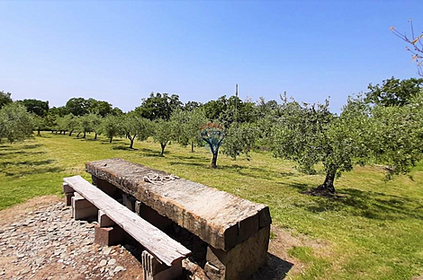 Дом с подсобными сооружениями: 26