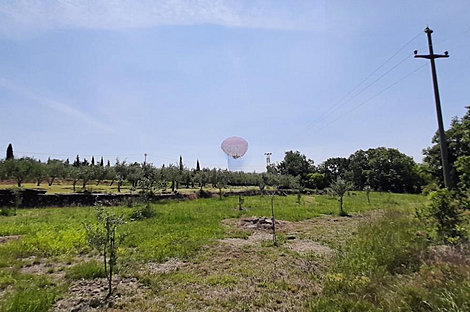 Дом с подсобными сооружениями: 28