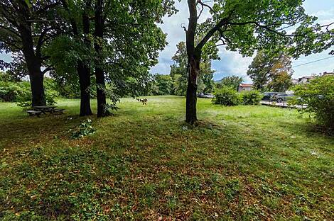 Жилище в срединной части Козины.: 1