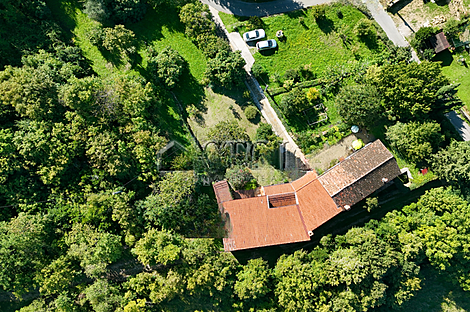 Копер, дом: 8