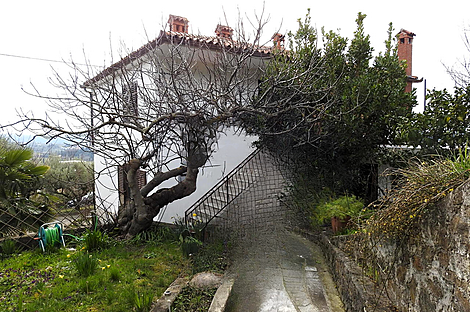 Лучия, дом, Камполин: 6