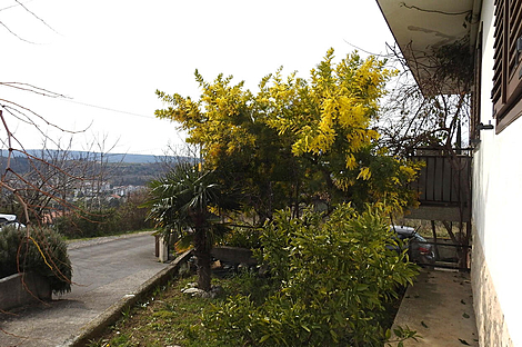 Лучия, дом, Камполин: 30