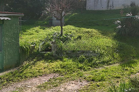 Жилище в городе Копер: 12