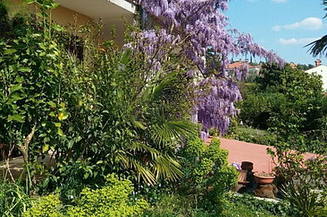 Жилище в Портороже: 8