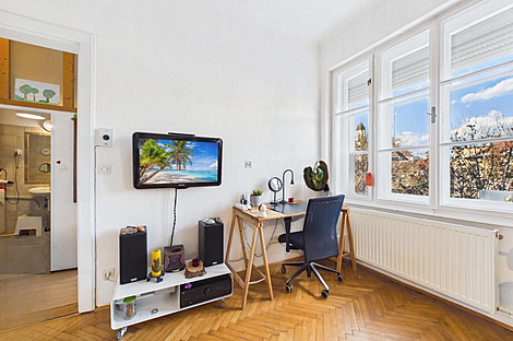 Центральное расположение, квартира с одной комнатой: 3