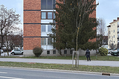 Квартира с двумя комнатами в Бежиграде: 14