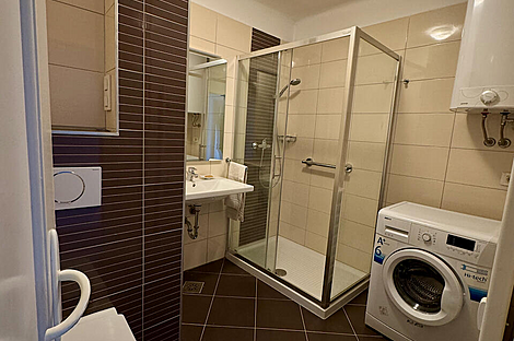 Жилье на Чесниковой улице: 6