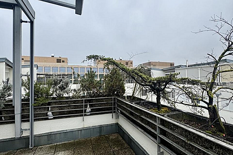 Многокомнатная квартира с более чем пятью комнатами, расположенная в Бежиграде.: 23