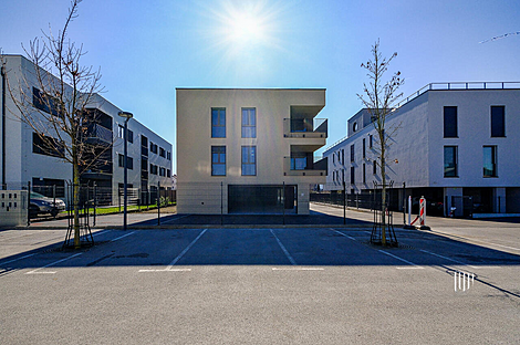 Жильё в Новом Поле: 22