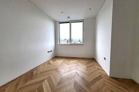 Элитный дом с двумя уровнями Шишка Подутик: 5