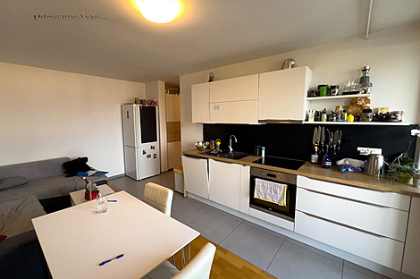 3-комнатная квартира в Новом Поле: 4