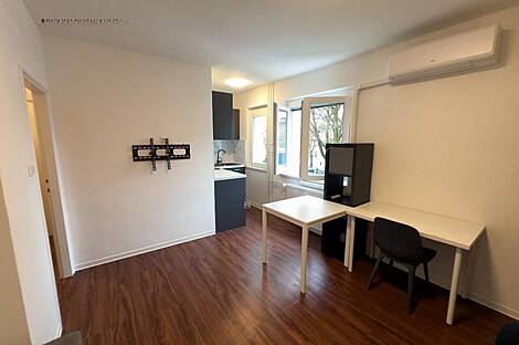 Студия в аренду в Новом Шентвиде: 1