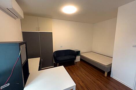 Студия в аренду в Новом Шентвиде: 2