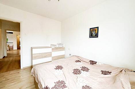 Трехкомнатная квартира, Новый Л. Мосте.: 11