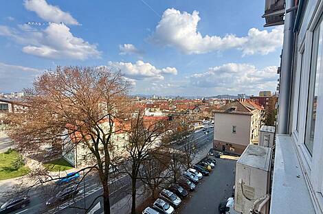 Трёхкомнатная квартира в Новых Шишках: 2