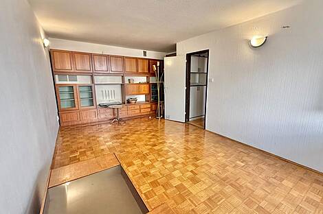 Трёхкомнатная квартира в Новых Шишках: 4