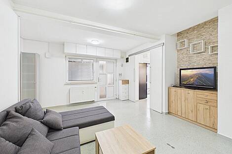 1-комнатная квартира Новая Шишка: 3