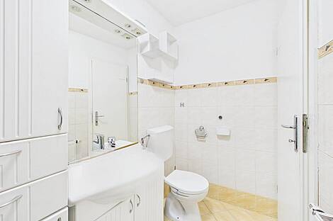 1-комнатная квартира Новая Шишка: 12