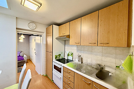 1-комнатная квартира в районе Новая Шишка: 10