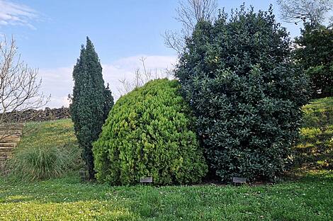 Резиденция Коломбан Коломбано: 2