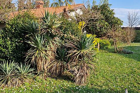 Резиденция Коломбан Коломбано: 6